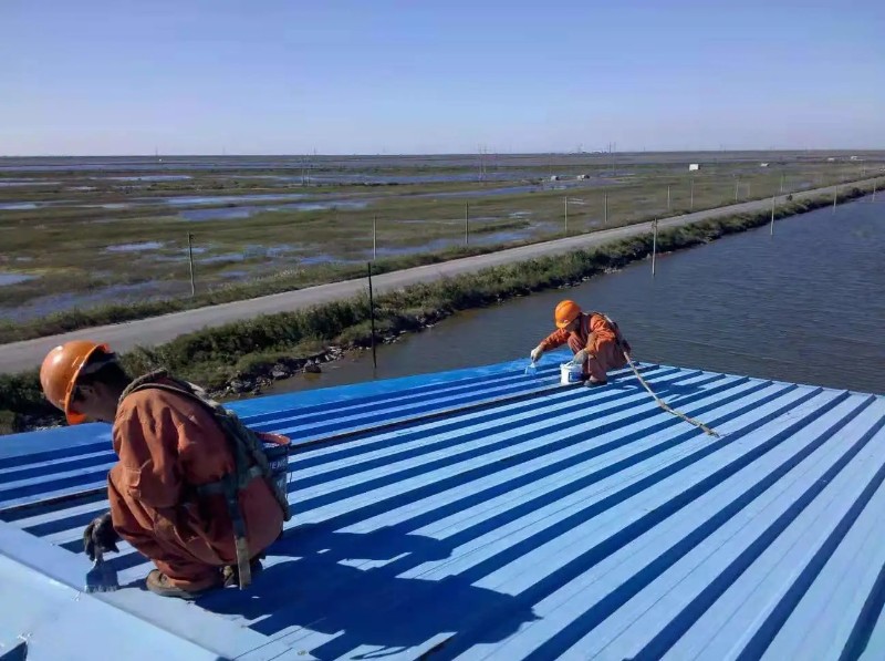 秀屿钢结构屋面漏水原因